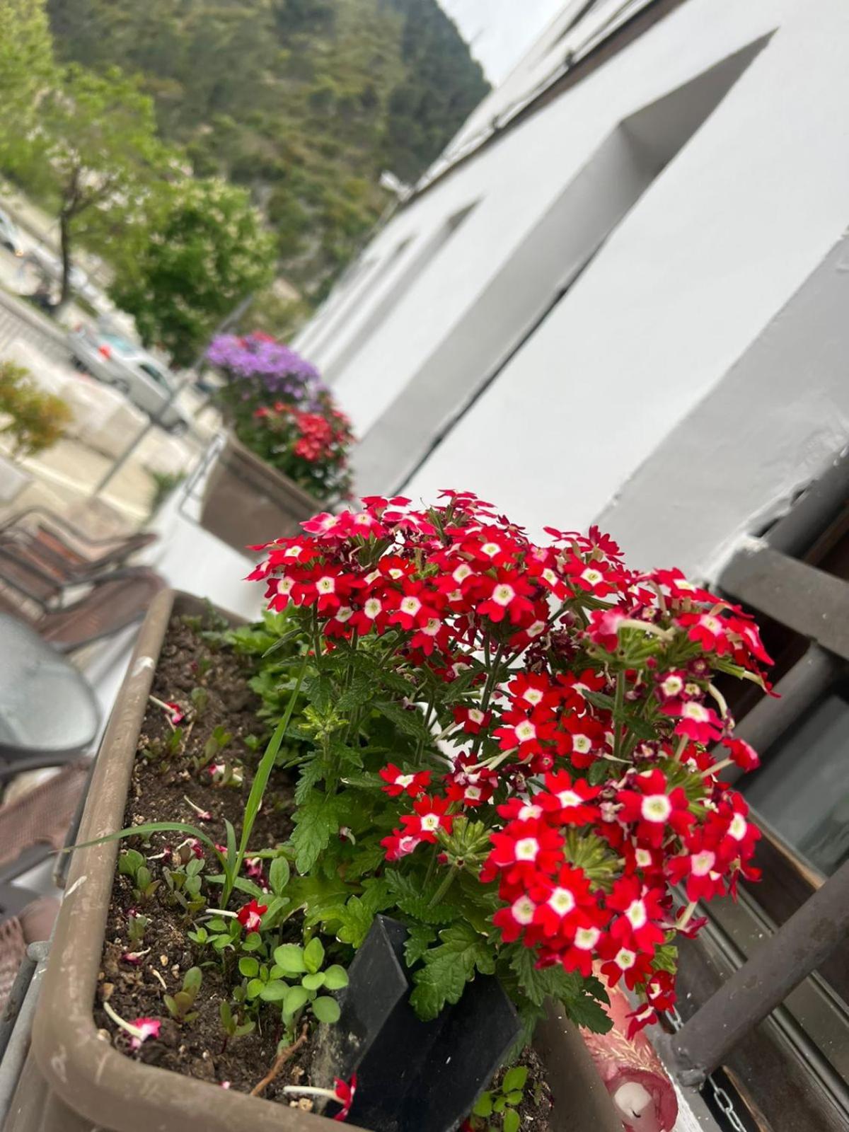 Hotel Omer Berat Pokoj fotografie