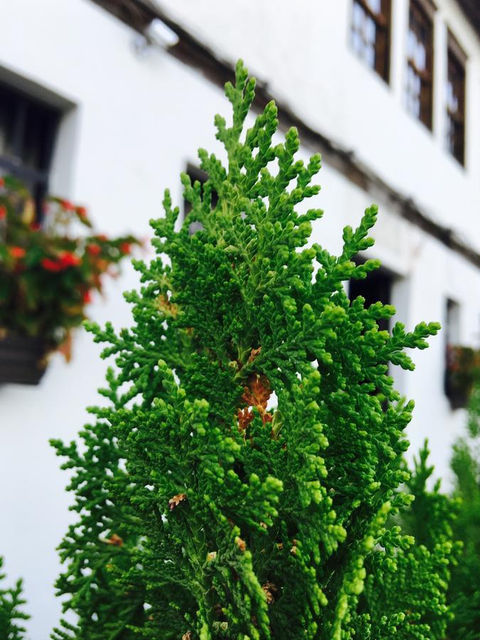 Hotel Omer Berat Exteriér fotografie